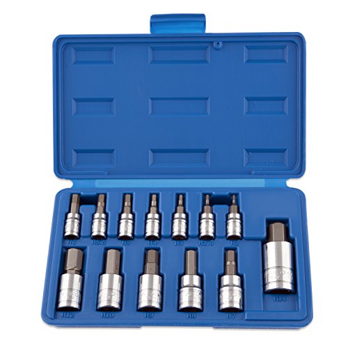 Neiko 10074A Hex Bit Socket Set  S2 Steel   13-Piece Set   Metric